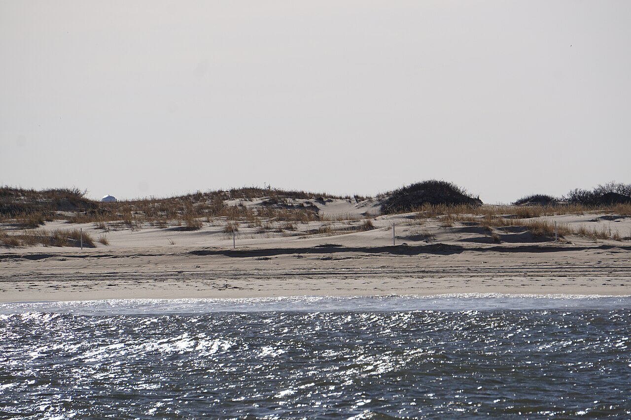 Beach at Cape Henlopen State Park